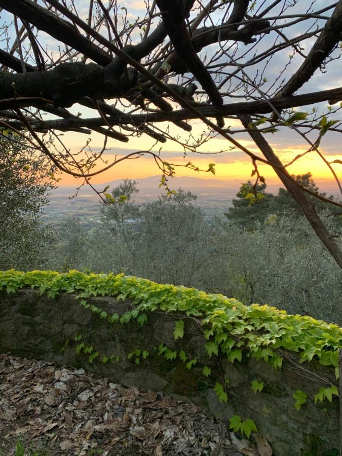 Podere Le Vedute Bed & Breakfast Larciano Bagian luar foto